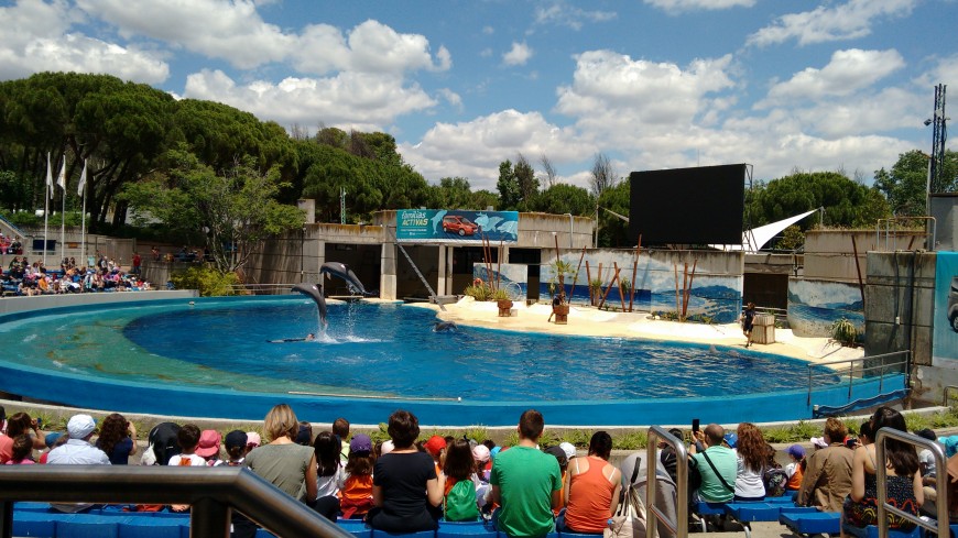 Instalación Pantalla de Vídeo en el Delfinario del Zoo Aquarium de Madrid