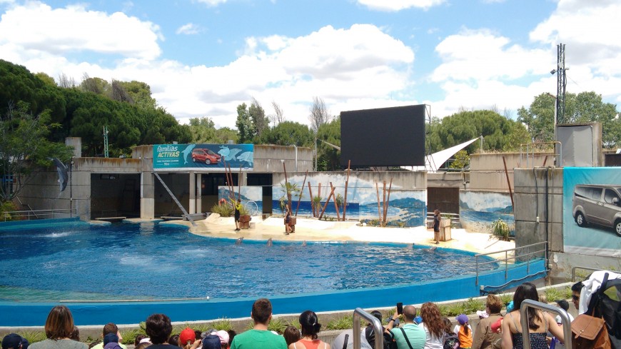 Instalación Pantalla de Vídeo en el Delfinario del Zoo Aquarium de Madrid